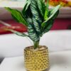 Artificial Dieffenbachia Plant in Gold Textured Pot | Indoor Plant Decor for Homes & Offices – Kigali Flower & Plant Shop