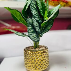 Artificial Dieffenbachia Plant in Gold Textured Pot | Indoor Plant Decor for Homes & Offices – Kigali Flower & Plant Shop