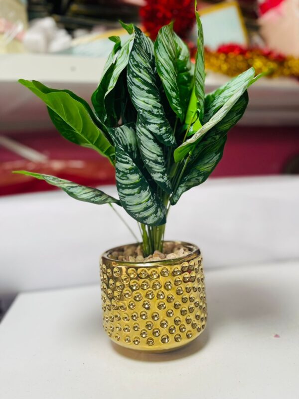 Artificial Dieffenbachia Plant in Gold Textured Pot | Indoor Plant Decor for Homes & Offices – Kigali Flower & Plant Shop