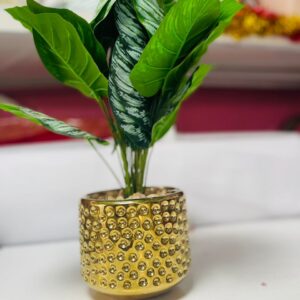 Artificial Dieffenbachia Plant in Gold Textured Pot | Indoor Plant Decor for Homes & Offices – Kigali Flower & Plant Shop