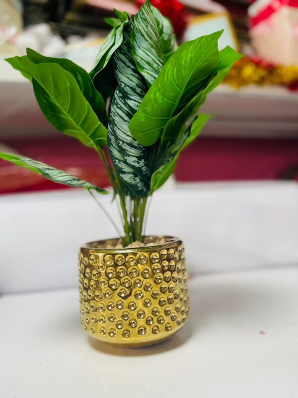 Artificial Dieffenbachia Plant in Gold Textured Pot | Indoor Plant Decor for Homes & Offices – Kigali Flower & Plant Shop - Image 2