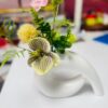 Kigali Orchid Curve
