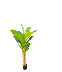 Tropical Banana Plant – Artificial Indoor Greenery for Home & Office Kigali Delivery