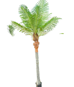 Deluxe Artificial Palm Tree – Indoor & Outdoor Tropical Decor (Kigali Delivery Available)