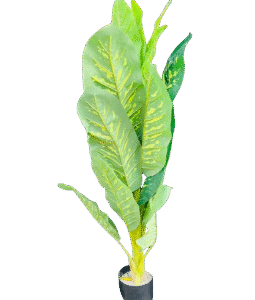 Deluxe Artificial Dieffenbachia Plant in Pot – 1.2M Height  Best Indoor Decorative Plants in Kigali | Artificial Plants Rwanda