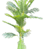 Tropical Artificial Palm Plant – Home & Event Décor (90cm)  Best Artificial Plants in Kigali | Palm Leaf Decor Rwanda