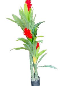 Exotic Artificial Bromeliad Plant with Red Flowers – 1.3M Tropical Indoor Decor  Top Artificial Flowers in Kigali | Vibrant Home Décor Rwanda