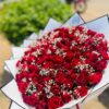 Grande Amour Red Roses