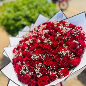 Grande Amour Red Roses