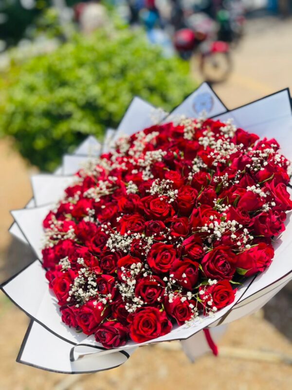 Grande Amour Red Roses