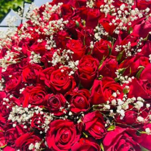 Grande Amour Red Roses