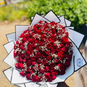 Grande Amour Red Roses