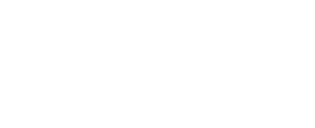 Niyo Flowers