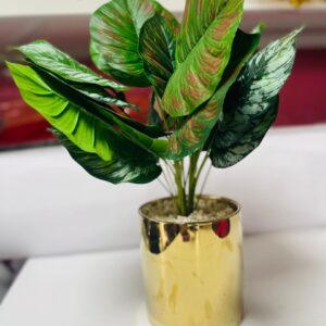 Lush Artificial Calathea Plant in Elegant Gold Pot | Premium Indoor Decor – Kigali Flower & Plant Delivery