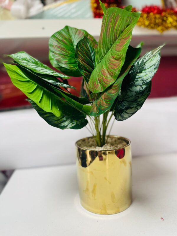Lush Artificial Calathea Plant in Elegant Gold Pot | Premium Indoor Decor – Kigali Flower & Plant Delivery