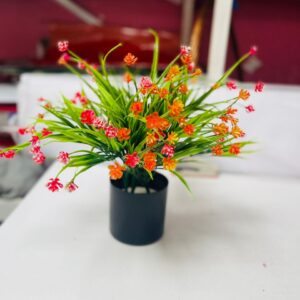 Sunny Sprout Mini Plant