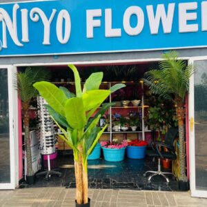 Tropical Statement Plant