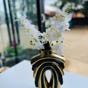 Luxury White Orchid Arrangement in Designer Vase