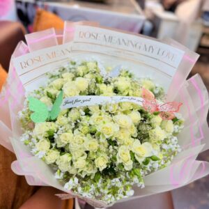 Ivory dream roses