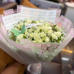 Ivory dream roses