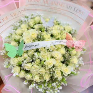 Ivory dream roses